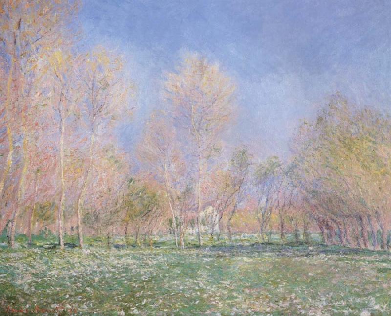 Claude Monet Spring in Giveryny oil painting image